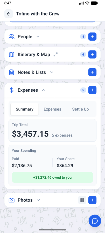 Expense summary screen